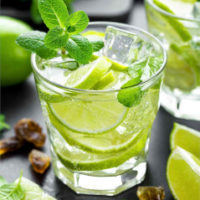 Zebra Mojito