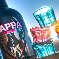 Zappa B